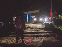 2023-09-29 SALAMANDRA II